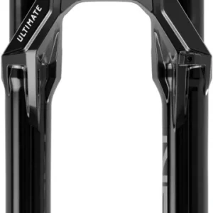 Lyrik Ultimate Flight Attendant C5, 29", 15x110 mm, 160 mm - schwarz